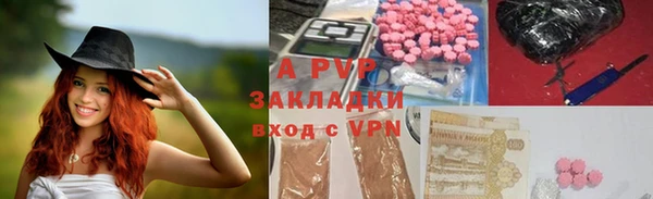 гидра Волоколамск