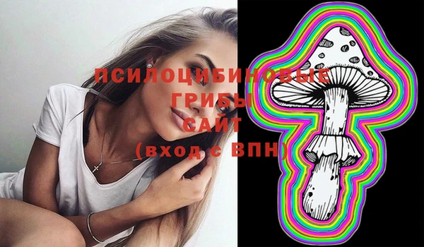 гидра Волоколамск